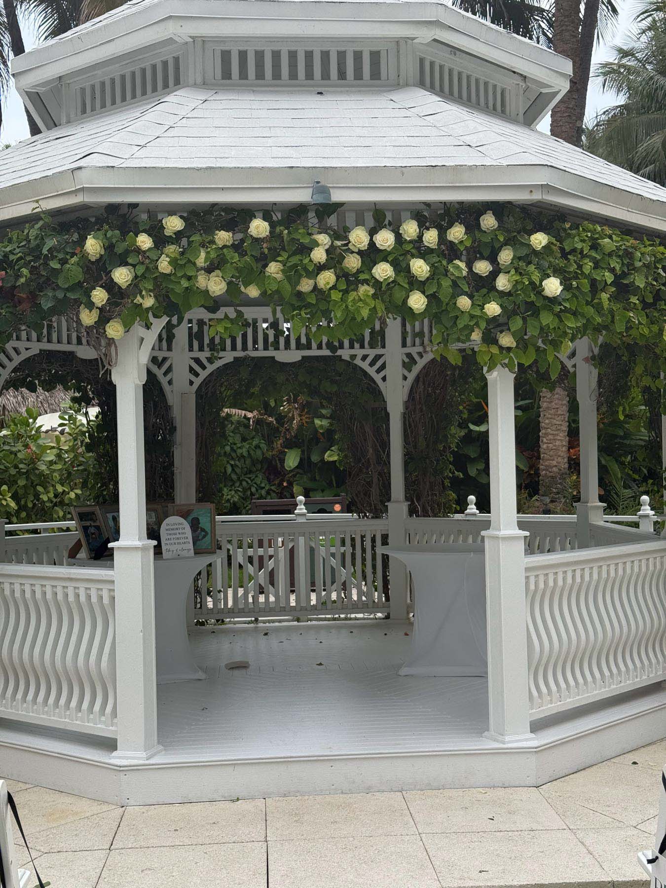 Wedding photograph 19